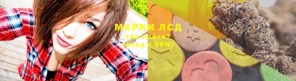 крисы Вязьма