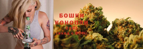 крисы Вязьма