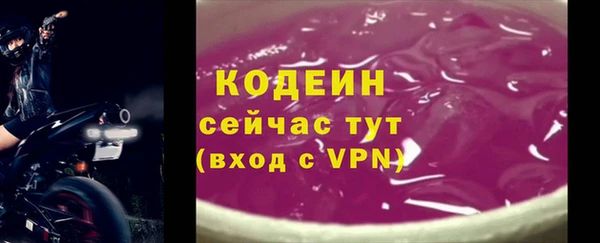 крисы Вязьма