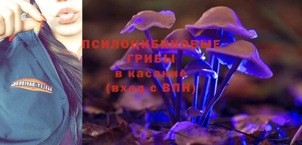 крисы Вязьма